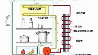 电冰箱的工作原理画图_电冰箱的工作原理画