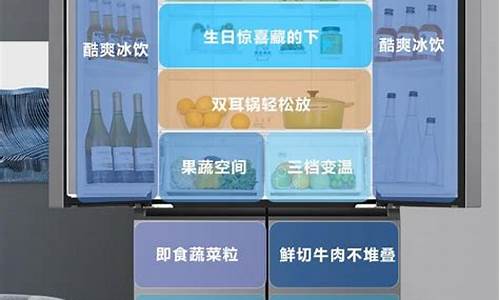 冰箱哪个质量好_海信和容声冰箱哪个质量好